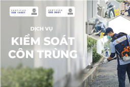 Dịch vụ kiểm soát vụ côn trùng